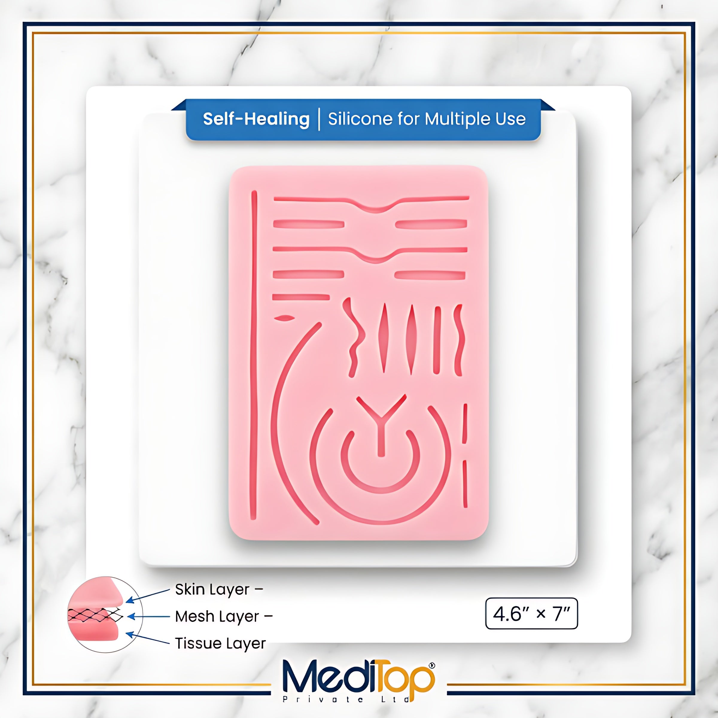 Neuro Surgery Suture Practice Pad – 3-Layer Human Skin Model (12mm) for Medical & Veterinary Training